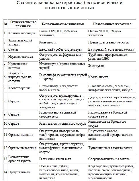 Сравнительная характеристика классов типа Членистоногие - student2.ru