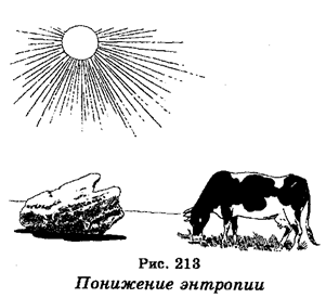 Среда обитания, ареалы и экологические - student2.ru