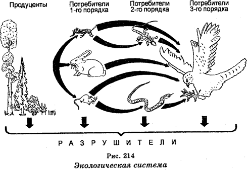 Среда обитания, ареалы и экологические - student2.ru