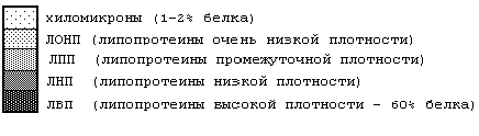 Строение и классификация липопротеинов - student2.ru