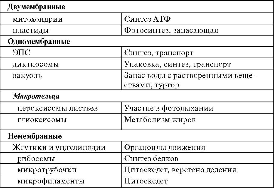 Строение растительной клетки. Митохондрия (рис. 1.2) - двумембранный органоид - student2.ru