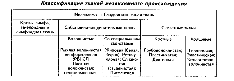 строение секреторных клеток - student2.ru