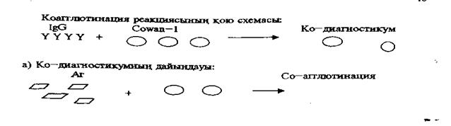 Студенттің өзіндік жұмысы - student2.ru