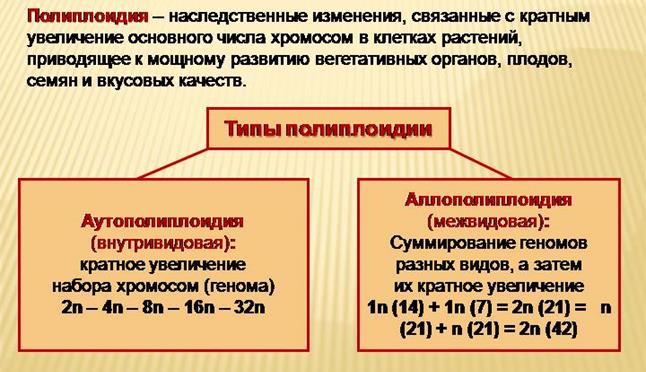 Свойства модификационной изменчивости - student2.ru