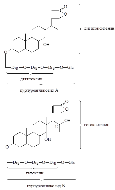 Сырье, содержащее кардиотонические гликозиды - student2.ru