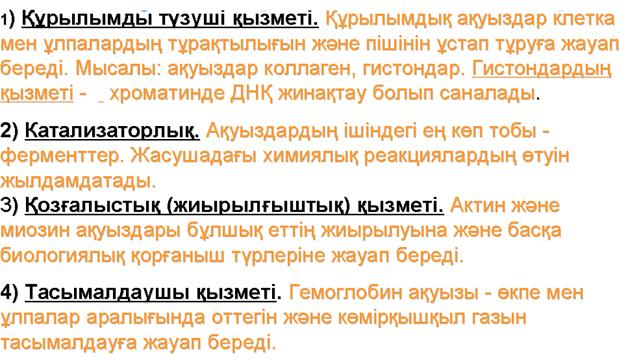 Тақырып: Ақуыздың құрылысы және қызметі. Ақуыз. фолдингі - student2.ru