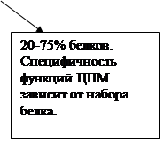 Тема: Морфология бактерий. - student2.ru