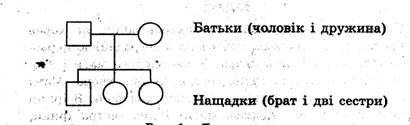 Тема: Складання родоводів. Розв’язання типових задач на визначення виду мутацій - student2.ru