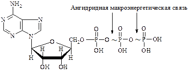 Тесты для самостоятельной работы студентов - student2.ru