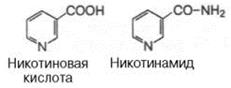 Типичные реакции метаболизма - student2.ru