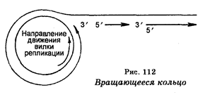 Транспортируемые генетические элементы - student2.ru