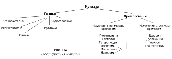 Транспортируемые генетические элементы - student2.ru