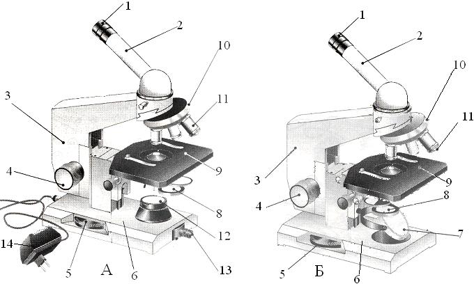 Укажите основные части микроскопа. - student2.ru