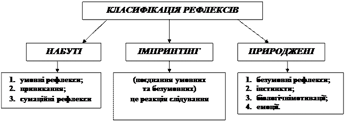 Умовні рефлекси. 1. Характеристика умовно-рефлекторної діяльності - student2.ru