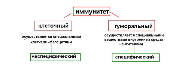 Уничтожение генетически измененных клеток - student2.ru