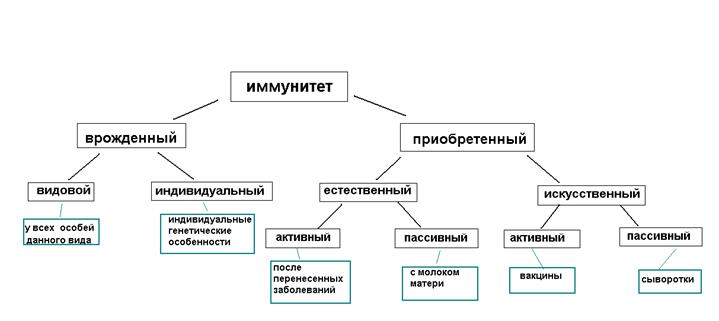 Уничтожение генетически измененных клеток - student2.ru