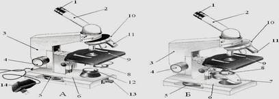Устройство микроскопа. Работа с иммерсионной системой - student2.ru