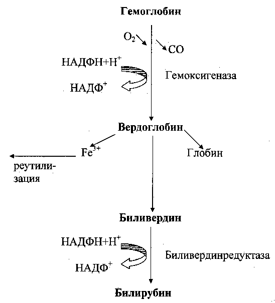 Устройство системы репарации - student2.ru