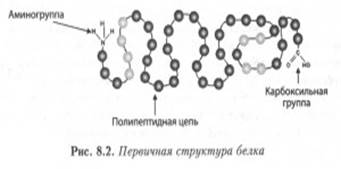 V. Болезни, связанные с нарушением белка - student2.ru