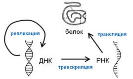 В тексте пропущены некоторые термины. - student2.ru