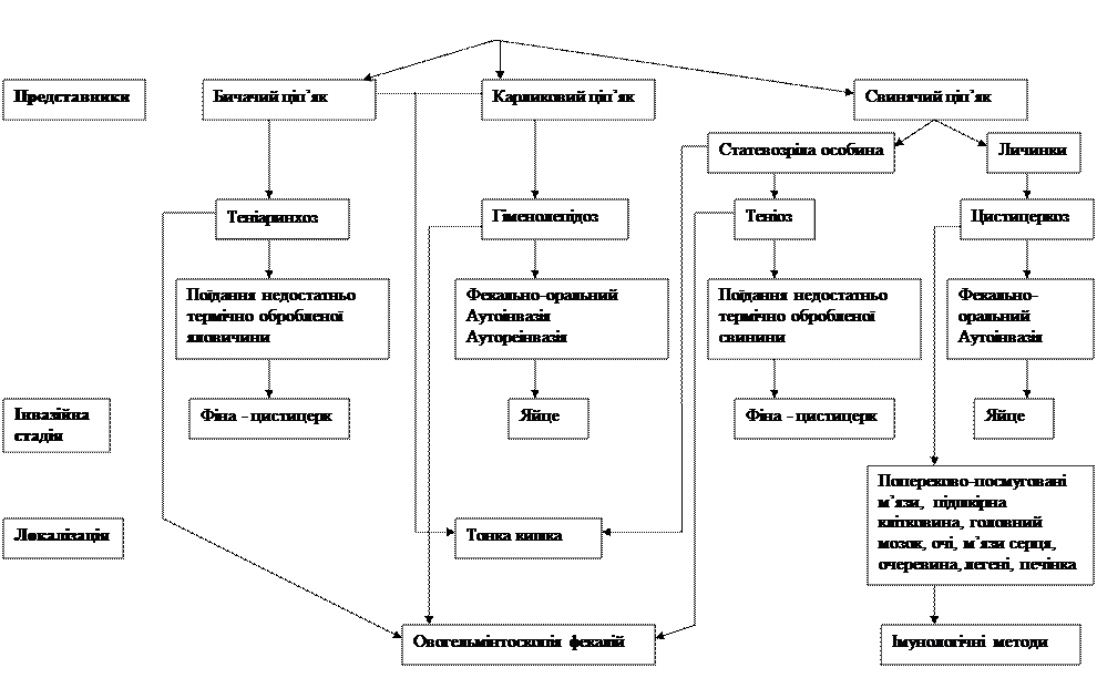 VI. Система навчаючих завдань. Завдання 1 (І рівень складності) - student2.ru