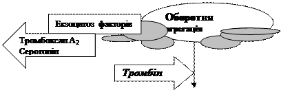 вміст тромбоцитів в нормі 180-320 х 109 /л - student2.ru