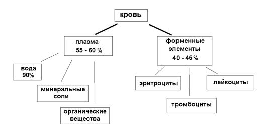 Внутренняя среда организма - student2.ru