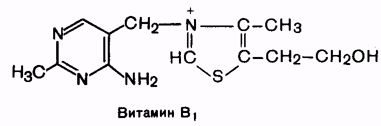 водорастворимые витамины - student2.ru