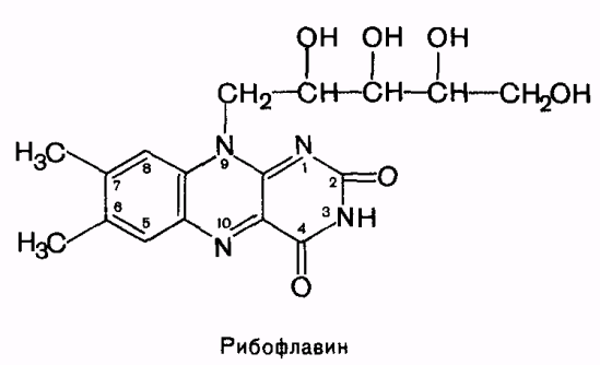 водорастворимые витамины - student2.ru