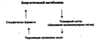 Возникновение жизни на Земле - student2.ru