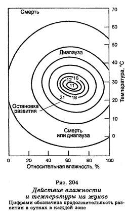 Эндокриннная система человека - student2.ru