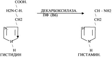 Это группа ферментов, которые отнимают Н2 от окисляемого субстрата и транспортируют его на ПЕРОКСИД - student2.ru