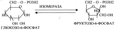 Это группа ферментов, которые отнимают Н2 от окисляемого субстрата и транспортируют его на ПЕРОКСИД - student2.ru