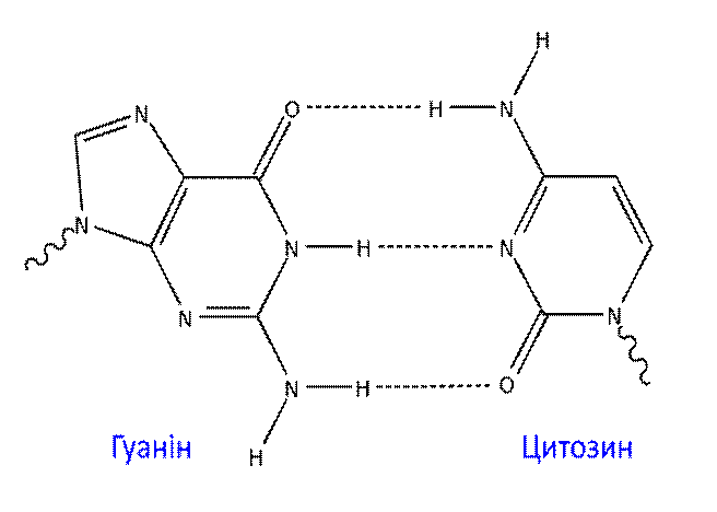 з біохімії і мікробіології - student2.ru