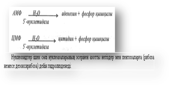 Жекелеген АМҚ-ң алмасуының бұзылыстары Амин қышқылдары туғызатын аурулары - student2.ru