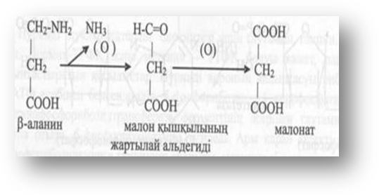 Жекелеген АМҚ-ң алмасуының бұзылыстары Амин қышқылдары туғызатын аурулары - student2.ru