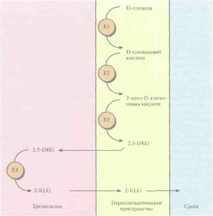 Andio R., D. Silvera, S. D. Suggett, P. L. Achacoso, 1 страница - student2.ru