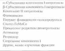Andio R., D. Silvera, S. D. Suggett, P. L. Achacoso, 7 страница - student2.ru