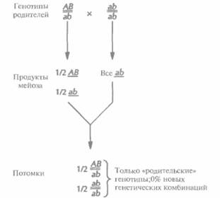 D. A. Dean, K. Kunsano-Kretzner, E. J. Mayer, 4 страница - student2.ru