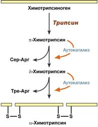Синтез соляной кислоты - student2.ru