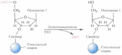 Tobias J. W., T. E. Schrader, G. Rocap, 8 страница - student2.ru