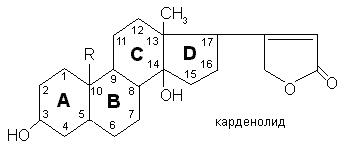 кардиотонические (сердечные) гликозиды - student2.ru