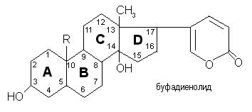 кардиотонические (сердечные) гликозиды - student2.ru
