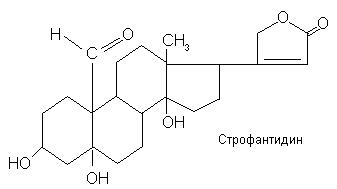 кардиотонические (сердечные) гликозиды - student2.ru