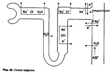 Комбинированное применение антигипертензивных средств - student2.ru