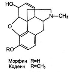 Лекарственное растительное сырье, содержащее алкалоиды группы изохинолина - student2.ru