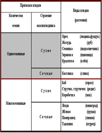 Особенности строения бактериальной клетки - student2.ru