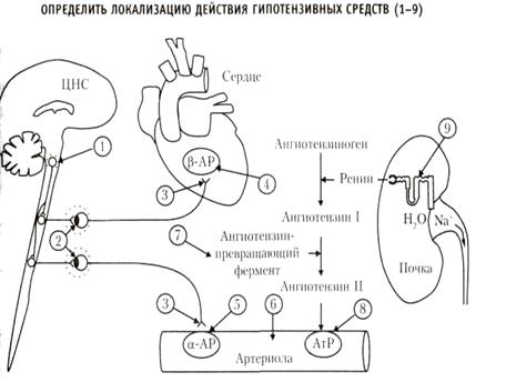 ПРАКТИЧЕСКОЕ ЗАНЯТИЕ №14 - student2.ru