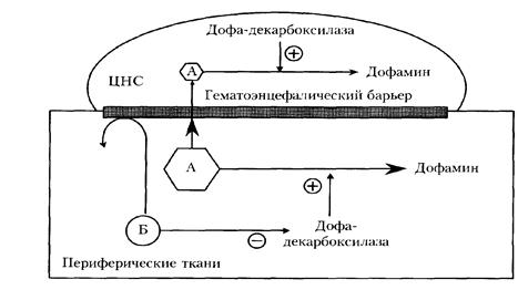 Противопаркинсонические средства - student2.ru