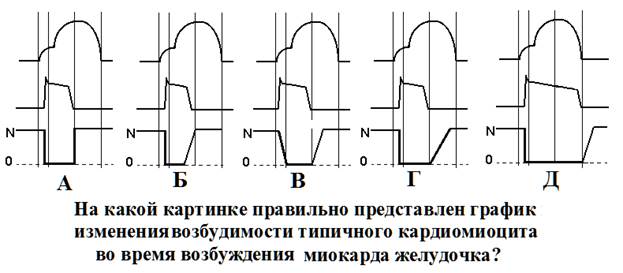 Что норме является водителем ритма сердца? - student2.ru